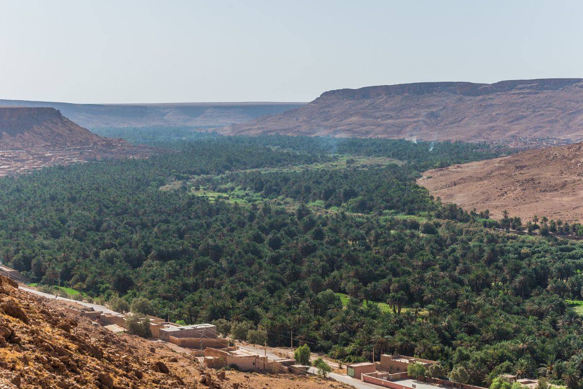 Traveller photo of the Ziz Valley road near Rich
