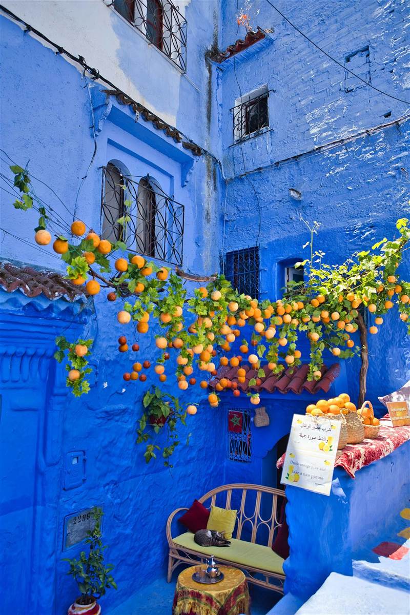 Chefchaouen blue medina alley stairs Rif Morocco
