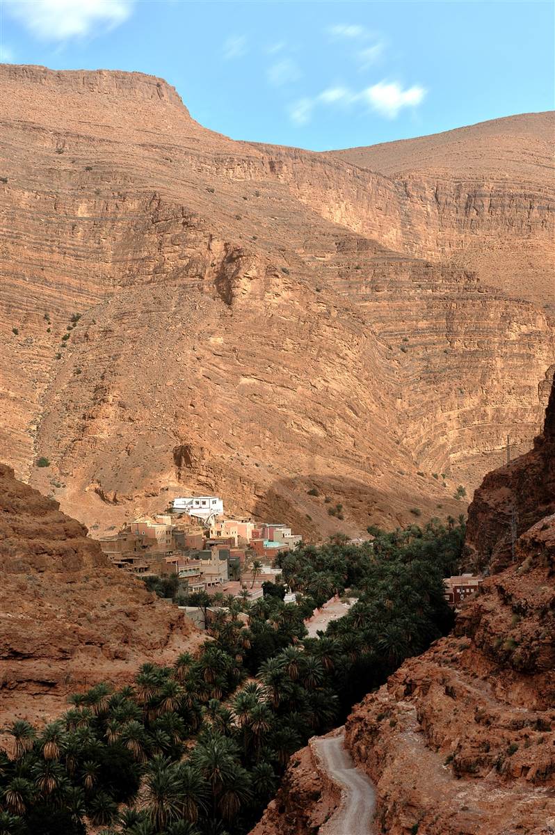Dades Valley green oasis fields Morocco