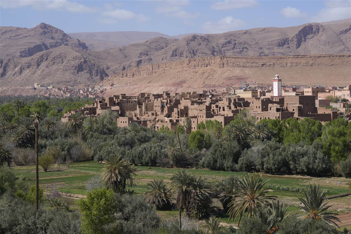 Draa Valley palm corridor river Morocco