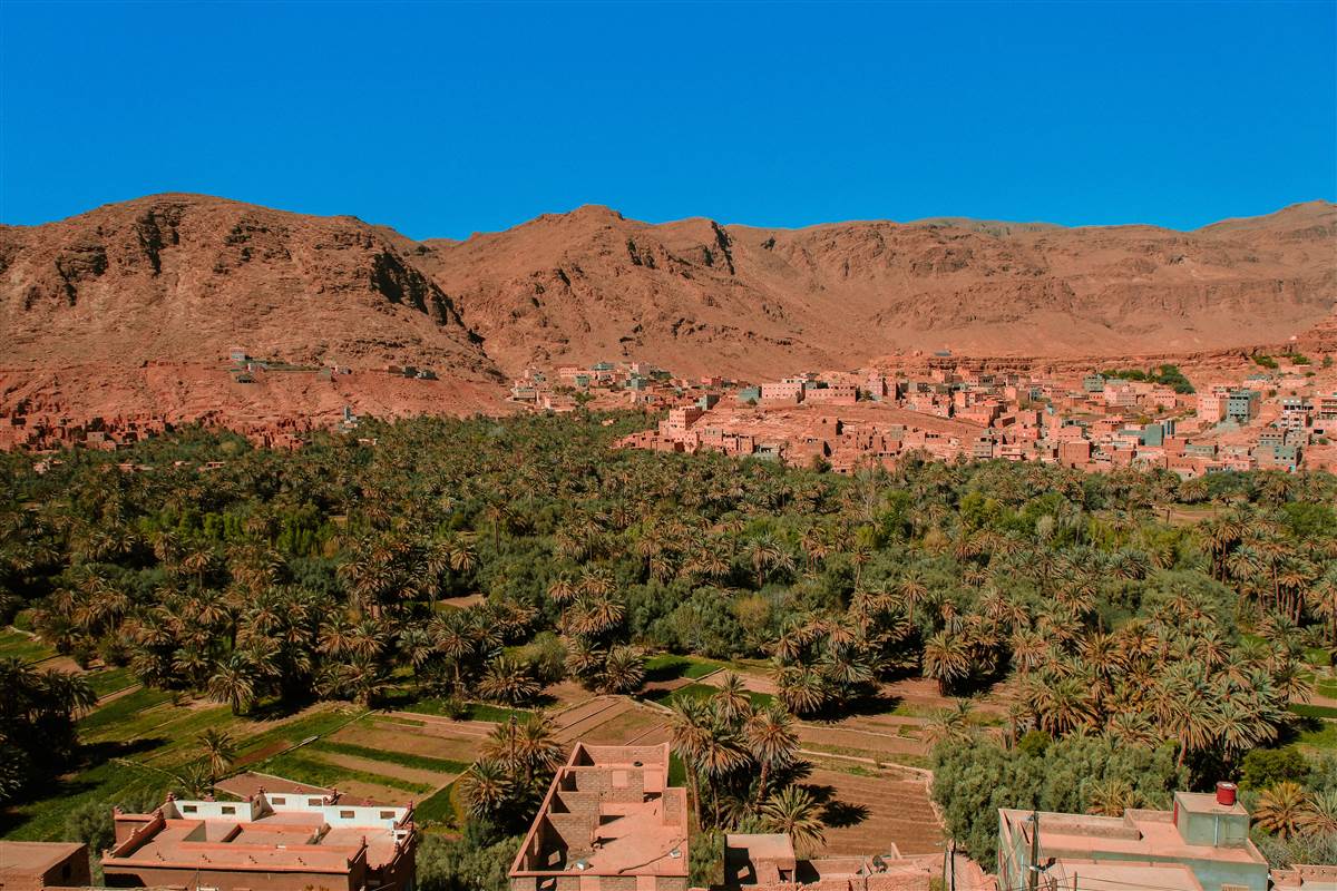Draa Valley palm grove and red ksar village under blue sky Morocco