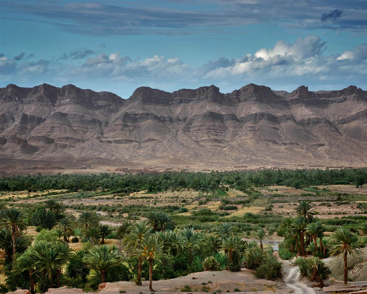 Draa Valley date palm harvest Morocco