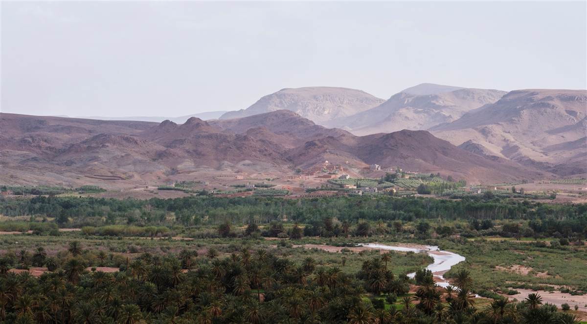 Draa Valley green fields Amazigh village Morocco