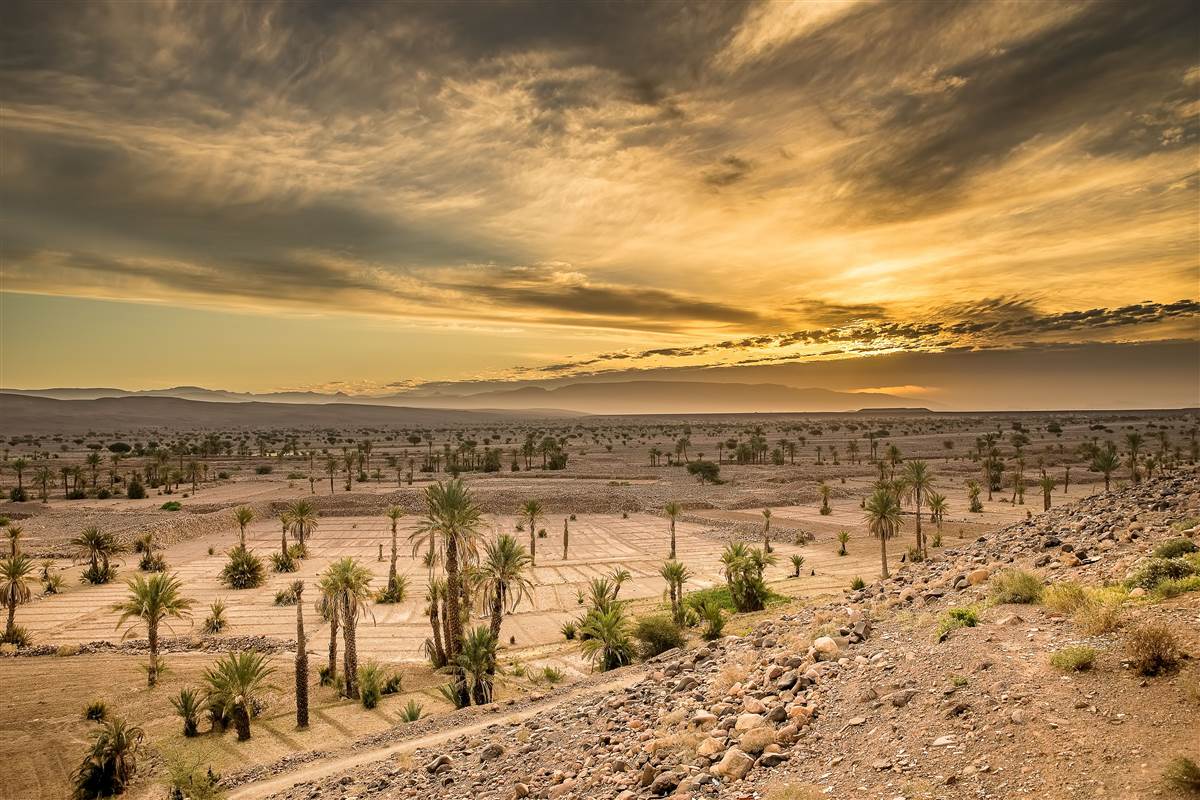 Errachidia Ziz valley palm views Morocco