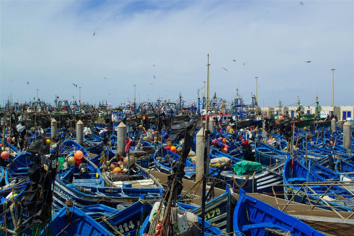 Blue wooden fishing boats crowded in Essaouira harbour Morocco