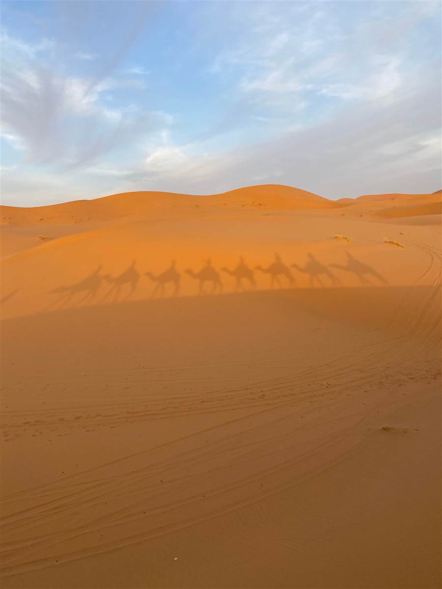 Merzouga Erg Chebbi dunes camel caravan Sahara Morocco