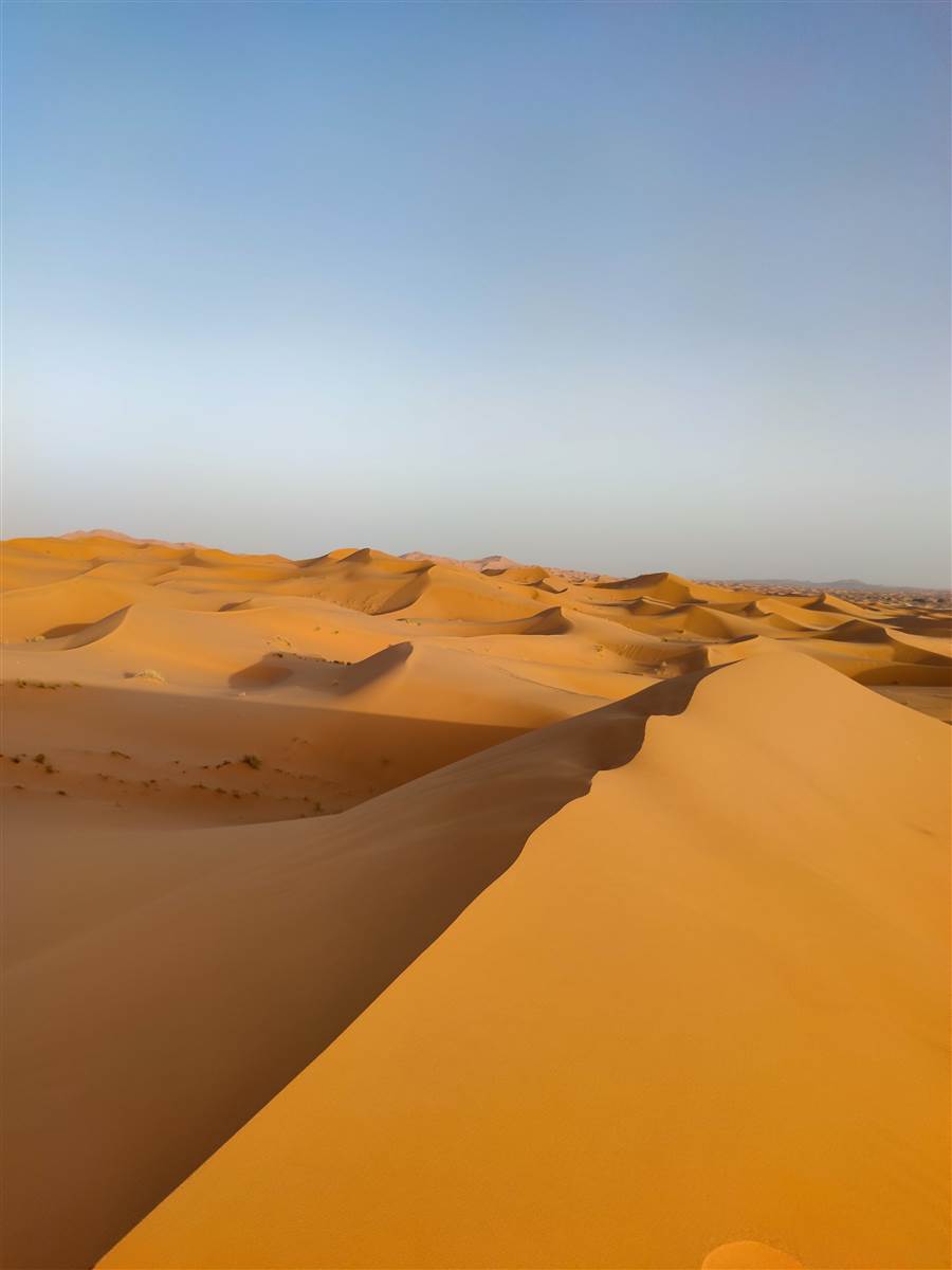 Camel trek Erg Chebbi Merzouga Sahara Morocco