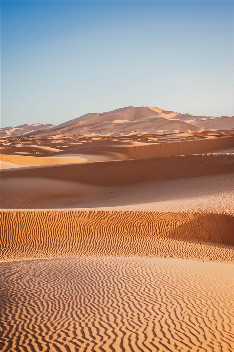 Erg Chebbi rippled sand dunes at golden hour Merzouga Morocco