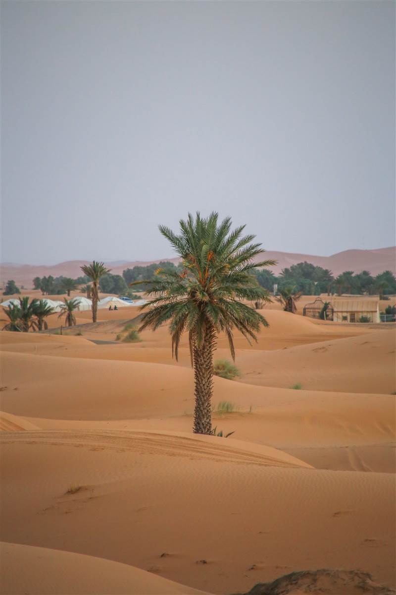 Amazigh guide Sahara tour Merzouga Morocco