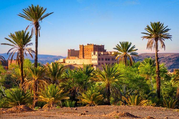 Amridil Kasbah rising above Skoura palm grove at sunset Morocco