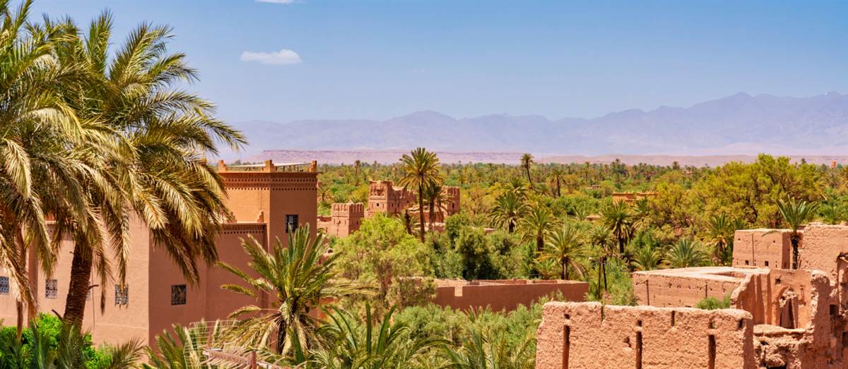 Skoura Amridil kasbah gardens Morocco