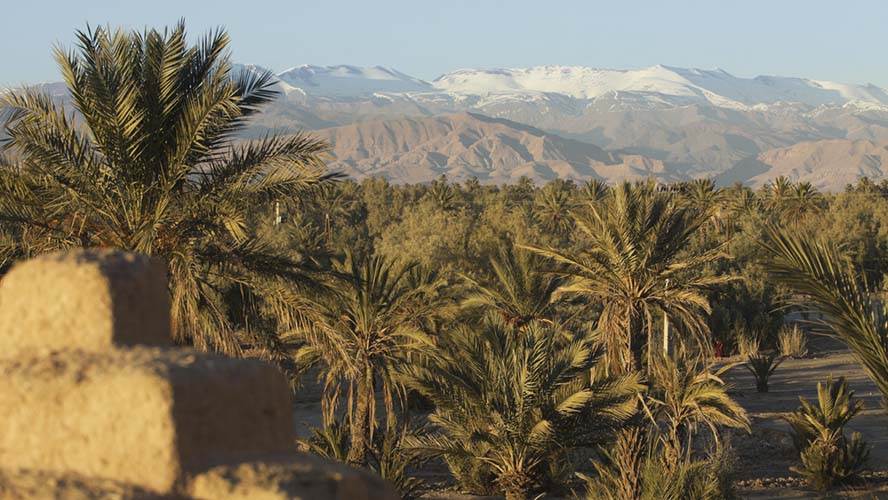 Skoura date palms irrigation channel Morocco