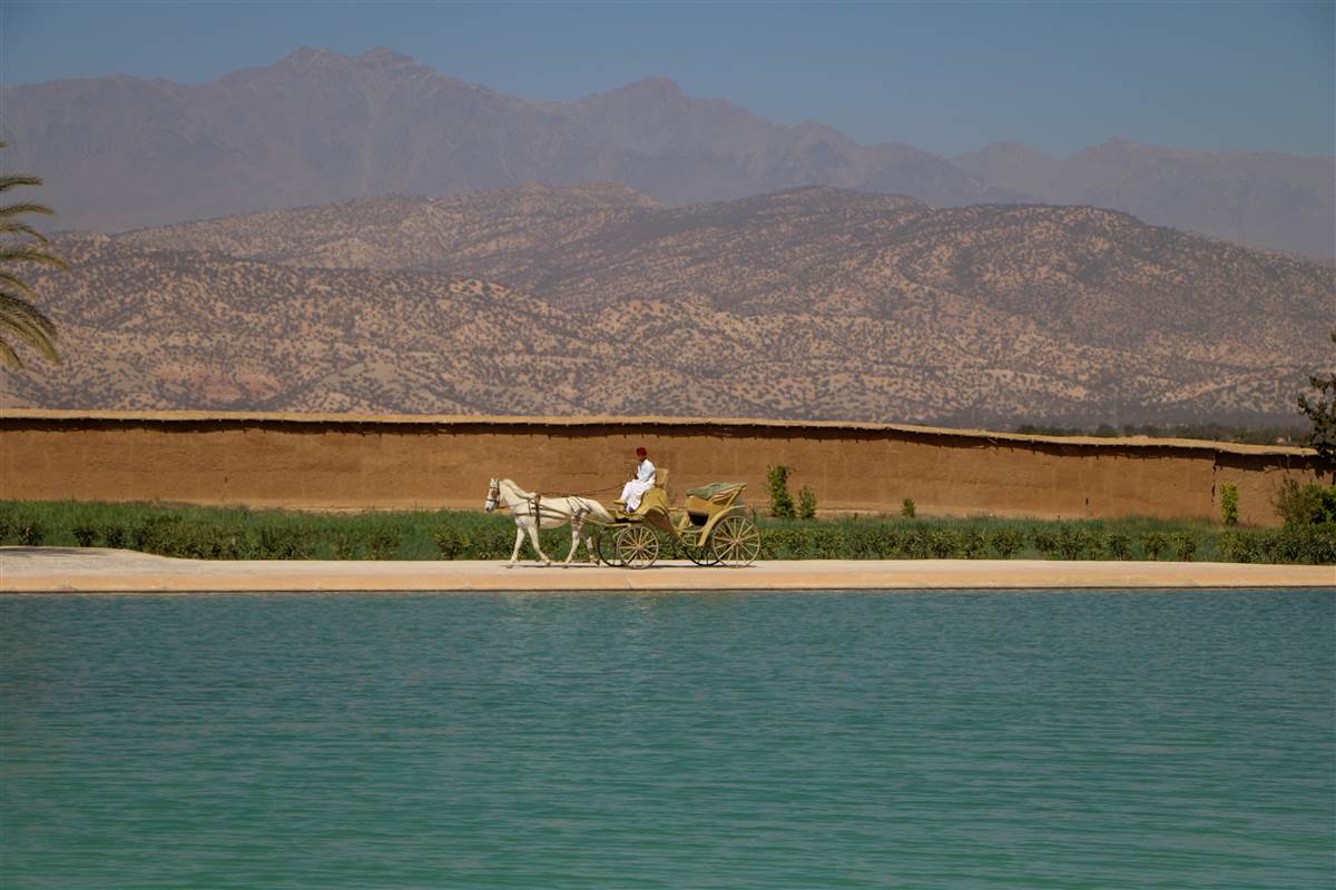 Taroudant horse carriage by pool with ramparts and Atlas mountains Morocco